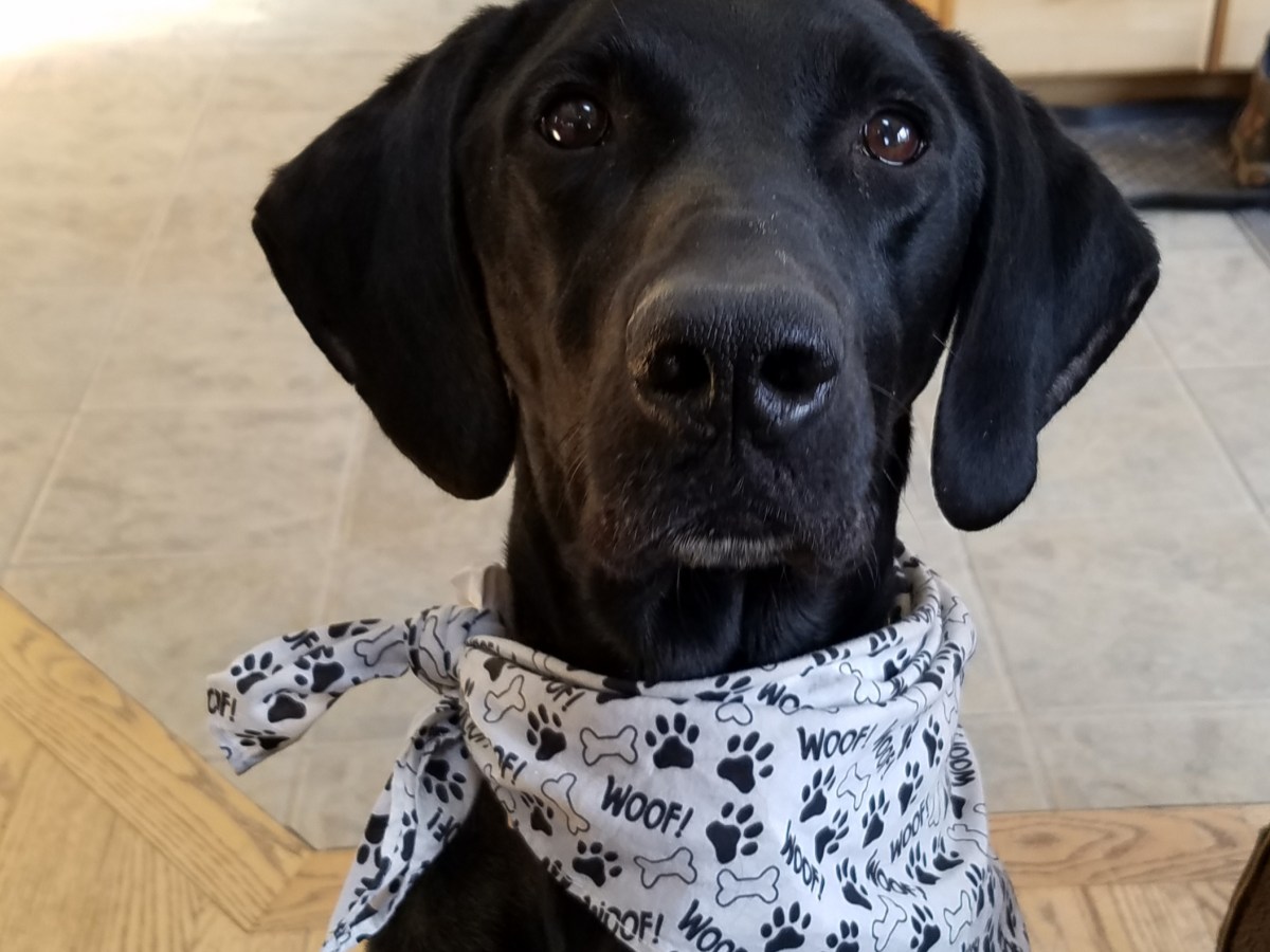 The Arts Are&nbsp;Dead