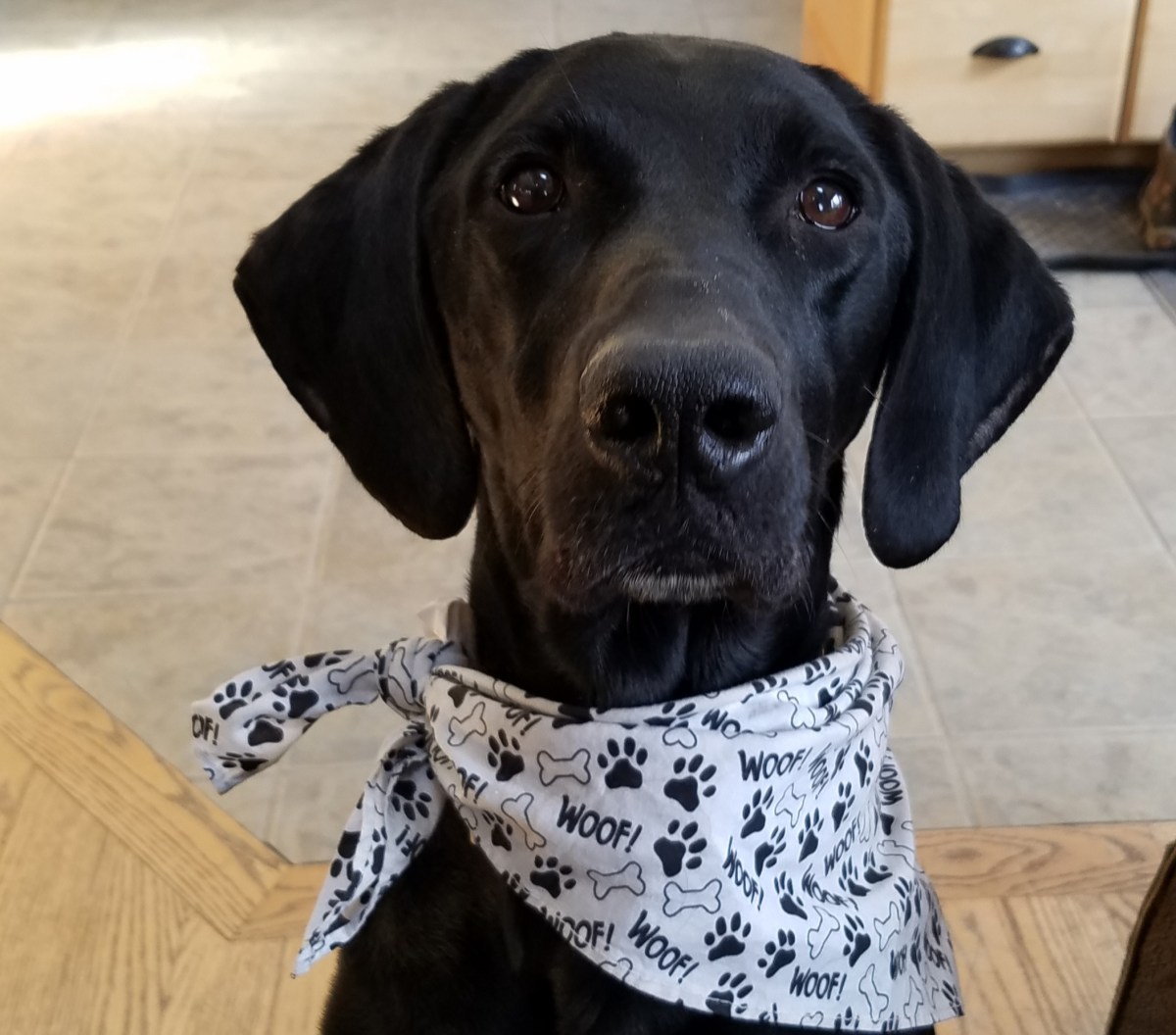 The Arts Are&nbsp;Dead